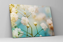 Obraz Púčiky kvetov 1707